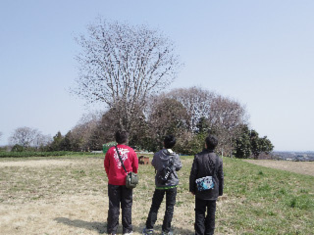 http://toma.ootaki.info/2012/04/03/001.JPG