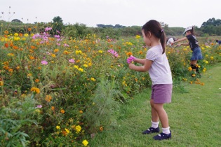 安比奈親水公園まつり - 娘はお花摘み、私はトンボ撮り