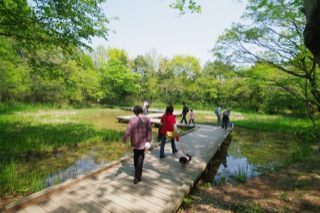 2010年最初のトンボは昭和記念公園で見つけました