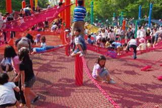 2010年最初のトンボは昭和記念公園で見つけました